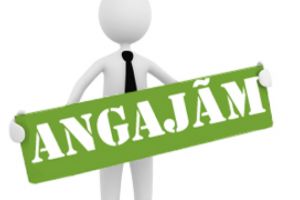 Paltinis S.A. angajeaza camerista