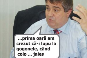 Haoleu sau vai de mine?