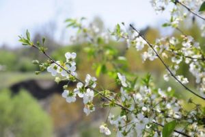Prognoza meteo. La cât ajung temperaturile în acest weekend