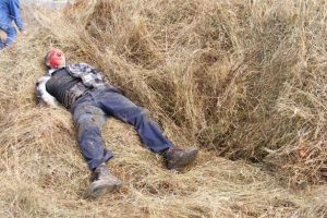 Un căruţaş încărcat cu fân a suferit răni grave după ce s-a izbit cu atelajul într-un stâlp de înaltă teniune