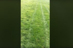 Folia speciala de pe suprafata de joc a stadionului Farul“ a fost ridicata. Cum arata gazonul