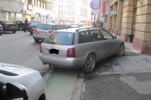 Bizonii cotizeaza din plin la bugetul Timisoarei