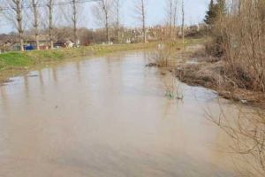 Alertă la Ciolăneşti, după ce o femeie a dispărut în apele pârâului Câinelui