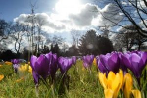 VREMEA de FLORII şi de PAȘTE. Maxime de peste 20 de GRADE CELSIUS în ROMÂNIA