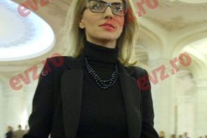 Gorghiu a solicitat Comisiei juridice APCE să sesizeze Comisia de la Veneţia pe legile Justiţiei 