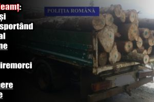IPJ Neamţ: Prinşi transportând ilegal lemne în semiremorci cu numere false