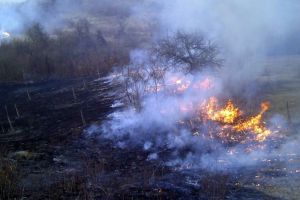 Nu vă jucaţi cu focul! Arderea miriştilor se poate face doar cu autorizaţie