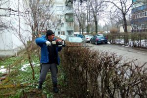 Angajatii SGU au iesit la munca. Vezi ce s-a mai facut prin Ploiesti, in ultima saptamana