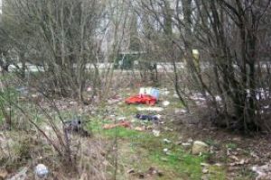 Gunoaiele de pe Cosbuc: Mizerie cat cuprinde la doi pasi de trotuar (FOTO)