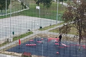 Ne enervează: În Parcul Liniştii din Oradea, copiii joacă baschet în 