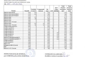 Salarii între 9.400 şi 1.045 de lei în luna ianuarie, la Inspectoratul Școlar Judeţean Alba
