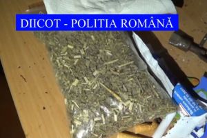 Perchezitii la Constanta la suspecti de trafic cu etnobotanice. Mai multi suspecti au fost arestati preventiv
