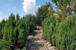 Se redeschide Gradina Botanica din Parcul Bucov. Vezi programul de vizitare