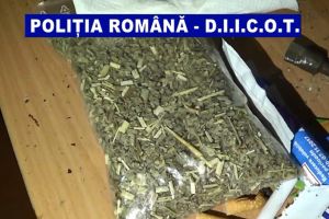 Reţinuţi pentru trafic de droguri