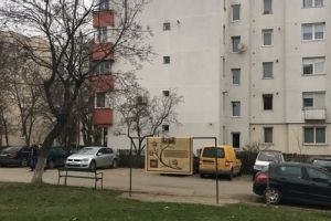 Tineri din Valea Rece, prinşi cu un covor furat