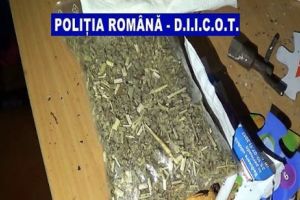 Tineri din Galaţi, Brăila şi Constanţa, reţinuţi pentru trafic de droguri