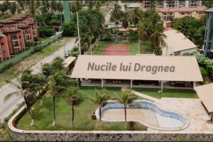 riseproject.ro: O poveste braziliana despre Liviu Dragnea, fratii Mazare si reprezentanti ai companiilor Tel Drum si Regiotrans