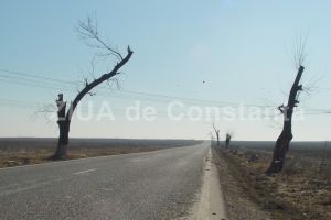 Contractul Lucrari de intretinere a drumurilor nationale“, in valoare estimata de peste 34 de milioane de lei, scos la licitatie de catre DRDP Constanta (document)  