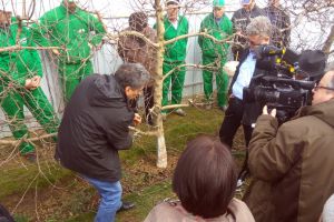 Lecţii în pomicultură pentru fermierii de pe Valea Trotuşului