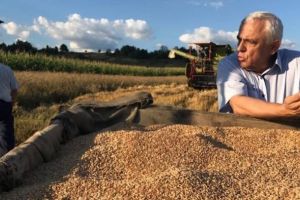 Producţia de cereale a României a crescut cu 12,4% în 2017, ajungând la 24,5 milioane tone