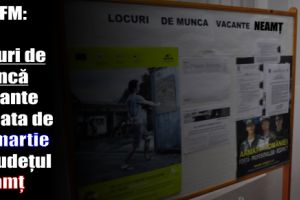 AJOFM: 517 locuri de muncă vacante la data de 31 martie 2018 în judeţul Neamţ