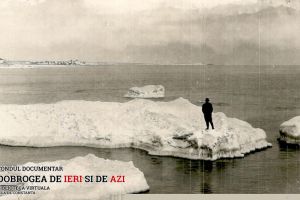 Candva un om privea Marea Neagra. Pe un sloi de gheata, la Mangalia