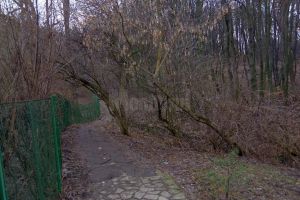 Pericol pe aleile de acces spre Cetatea Sucevei, din cauza copacilor rupţi