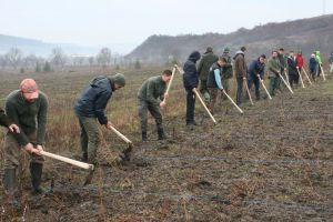 Pădurea din vecinătatea Parcului Industrial prinde contur şi cu ajutorul elevilor de la Silvic Năsăud (FOTO)