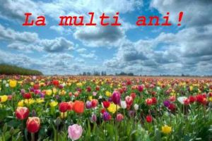 Florii: Ce nume de flori sunt sărbătorite în Duminica Floriilor