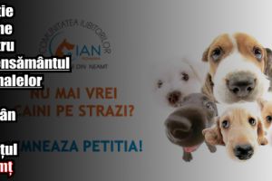 Petiţie online pentru recensământul animalelor cu stăpân din judeţul Neamţ