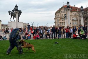 Bravo, Dilara! O căţeluşă campioană mondială şi-a demonstrat abilităţile, la Târgul de Paşti