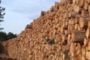 Tot mai multe accidente de muncă în industria de prelucrare a lemnului! ITM Caraş-Severin va înteţi controalele!