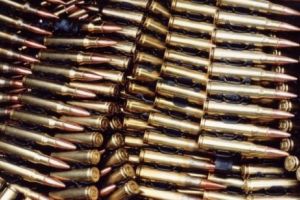 PERICOL pentru ANIMALE! Muniţie de război descoperită la ZOO Sibiu