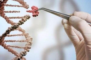 Monsanto se orientează spre editarea genetică