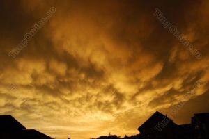 Cod galben de vânt în Bistriţa-Năsăud