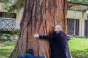 Ambasadorul Brummell: „Băile Herculane sunt o minune!” [FOTO]