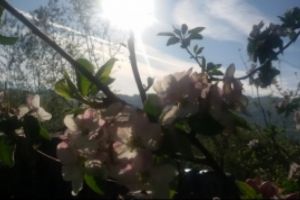 Avertisment de ULTIMĂ ORĂ al meteorologilor: Cod galben de fenomene periculoase PRELUNGIT - de ce trebuie să ne ferim