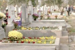 Vasluienii au credinţă: Bisericile ortodoxe, pline ochi de Florii