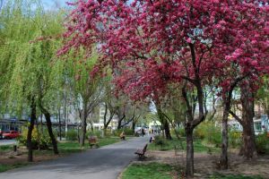Prognoza meteo pentru Paşte. Veşti noi de la meteorologi