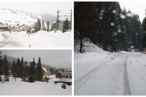 FOTO: „Zăpada mieilor” la Arieşeni, în mijlocul primăverii. Fulgii de zăpadă au acoperit grădinile oamenilor şi primele flori de primăvară