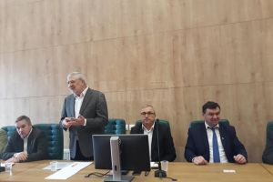 Sectorul forestier, 100% românesc, în pragul unei crize profunde