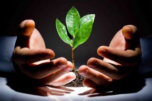 Care să fie legătura dintre dragostea de natură şi dragostea de oameni?