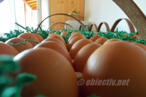 Ialomiţa: 144 kg produse alimentare şi 2376 ouă  – confiscate. Condtroale DSVSA