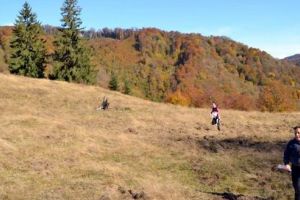 Concurs de orientare turistică pe Platoul Fâncel