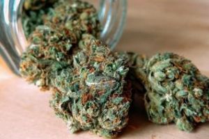 Trafic de droguri la Cluj! Un tânăr a fost ”săltat” de poliţişti după ce a ridicat un colet cu 10 kg de cannabis