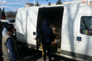 IREAL! 19 caini, 9 iepuri si 2 pasari, descoperite intr-o dubã abandonata, in Ploiesti! Politistii l-au gasit pe 