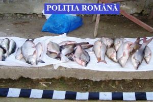Ialomiţa: Poliţiştii au confiscat 340 kg de peşte