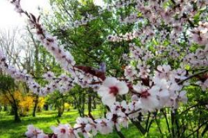 Cum va fi vremea de Pasti in Maramures