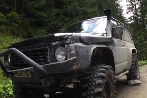 Bărbat trimis în judecată pentru braconarea a doi cerbi şi a unui pui de căprior