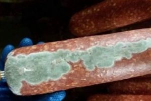 Avertisment: Salam importat din Ucraina, pozitiv la examenul de pestă porcină africană